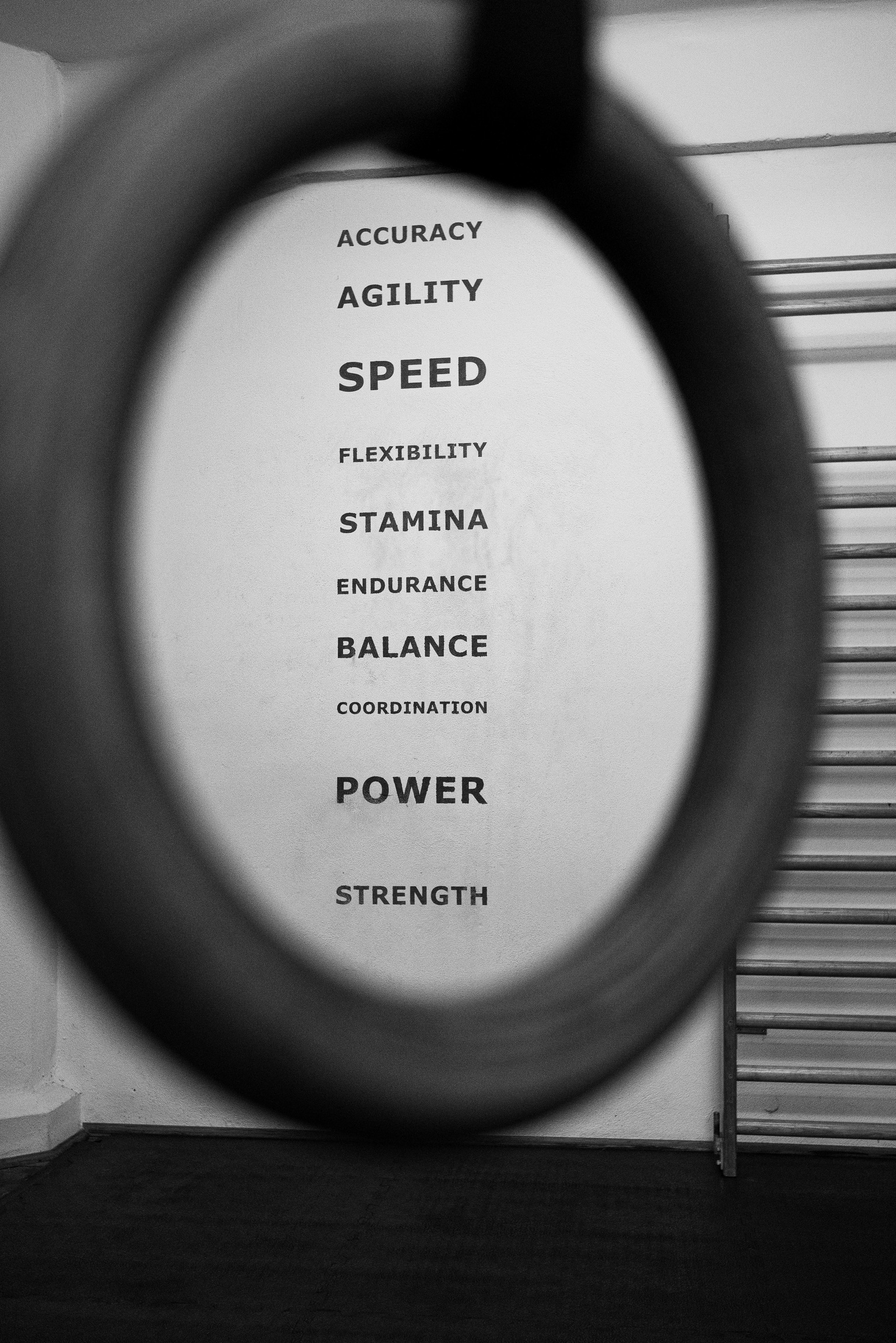 Gym Rings